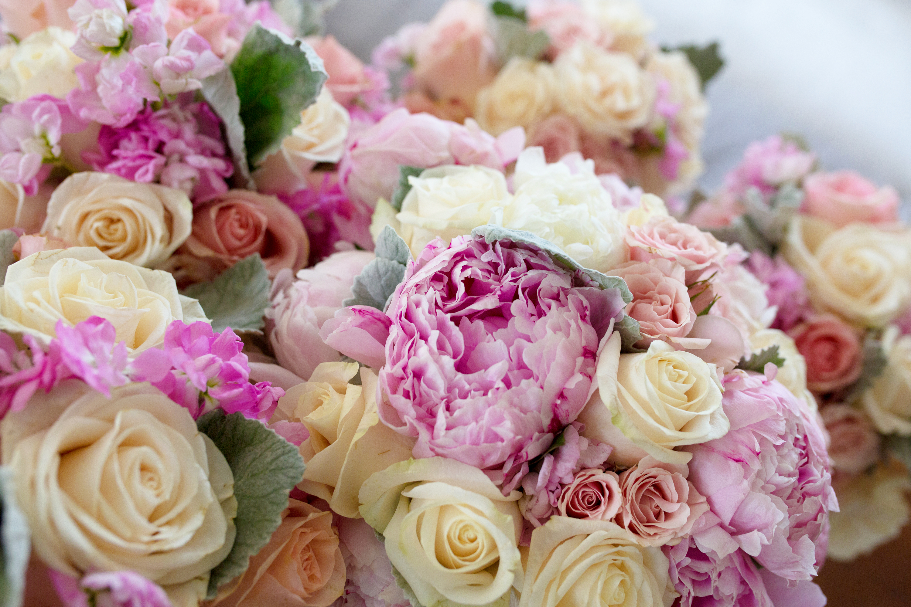 getting ready edit 4.jpg